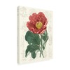 Trademark Fine Art Vision Studio 'Peony Flower Garden I' Canvas Art, 14x19 WAG14494-C1419GG